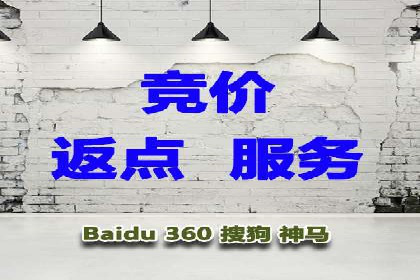 竞价托管服务在sem推广中的应用与效果展示